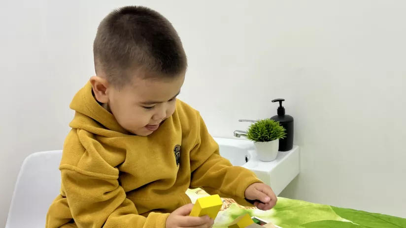 Психолог - основной вид